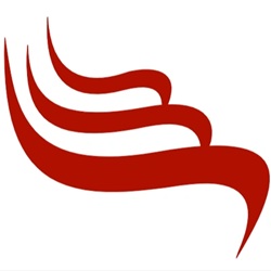 Low Cost Wire logo
