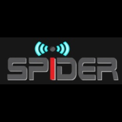 Spider Electronic Security logo