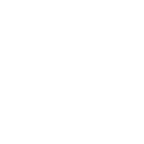 Skin Bottega logo