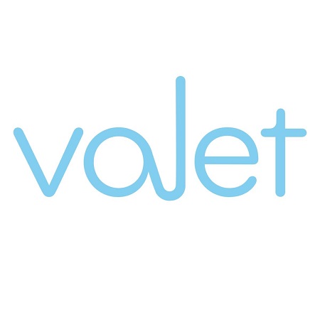 Valet Hygienic logo