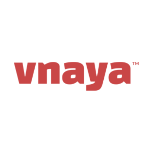 Vnaya logo