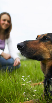 Greencross Vets logo