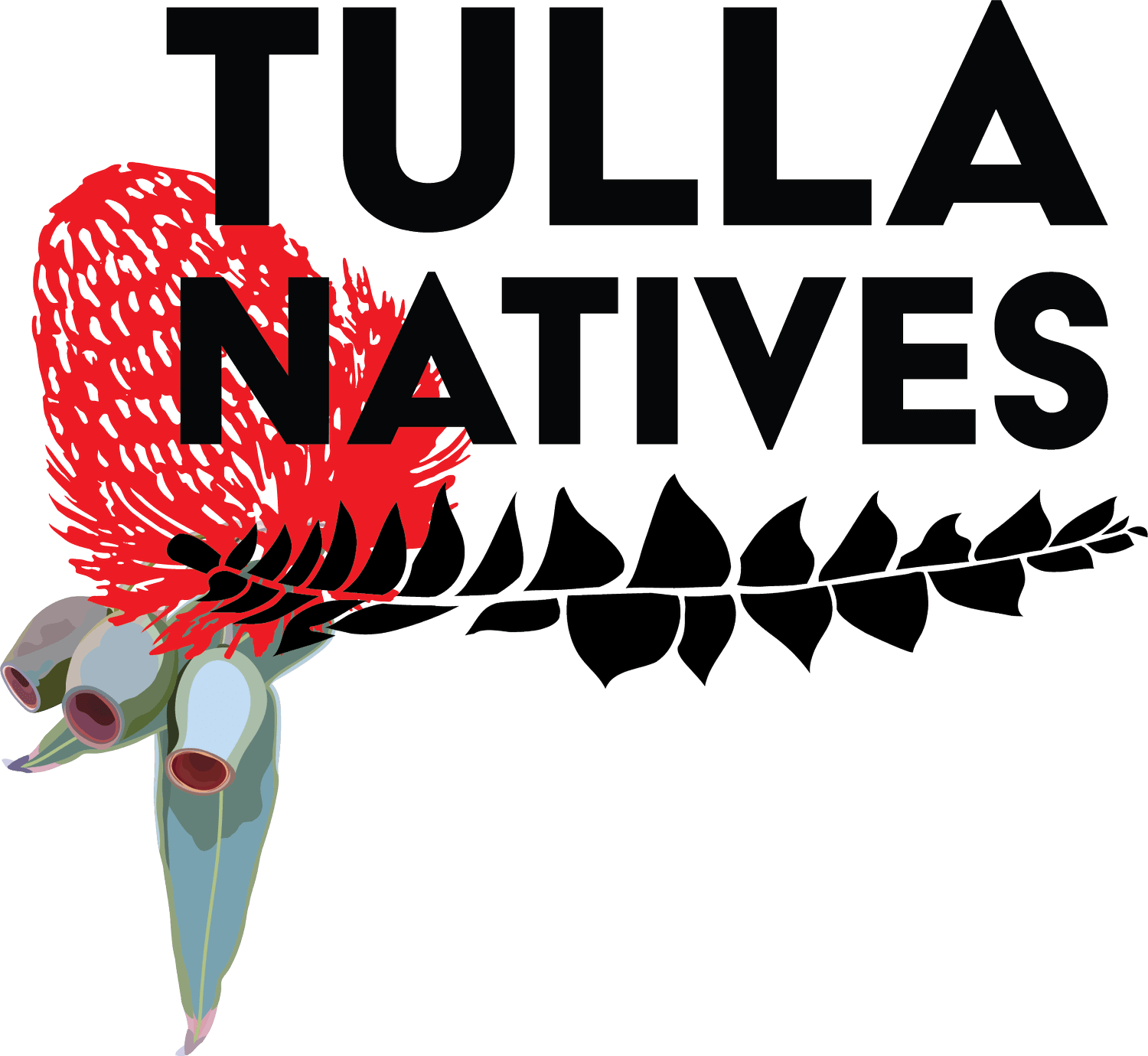 Tulla Natives logo