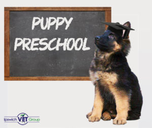 Pine Mountain Vet Clinic logo