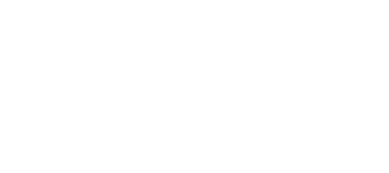 Bowery to Williamsburg logo