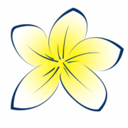 Townsend Family Dental logo