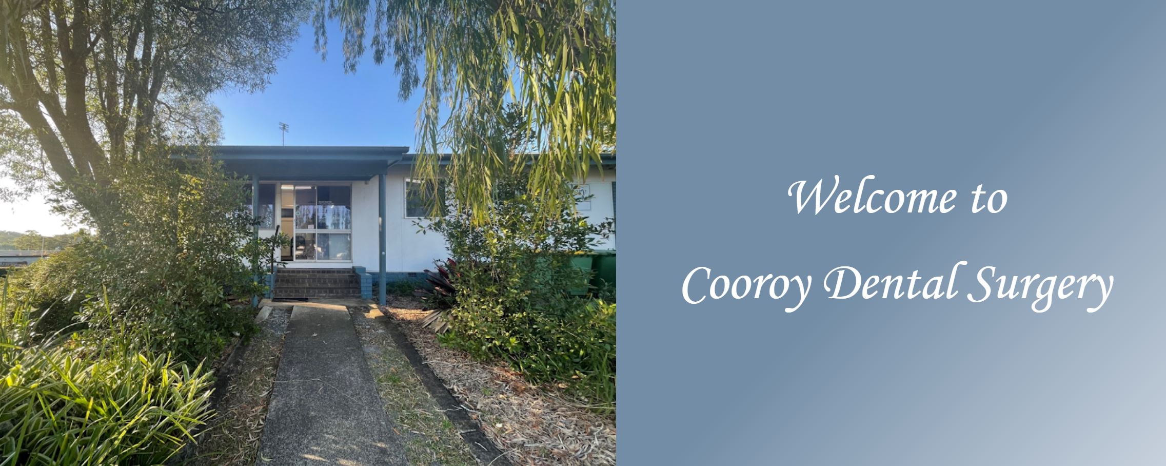 Cooroy Dental Surgery logo