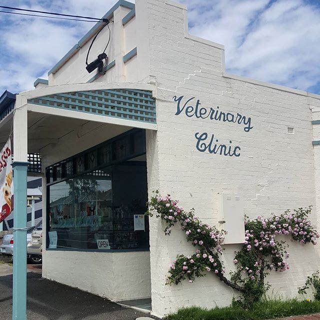 West Brunswick Veterinary Clinic logo