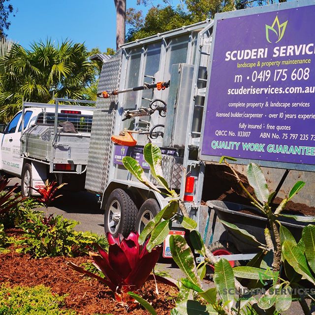 Scuderi Services logo