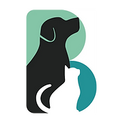 Brudine Veterinary Hospital logo