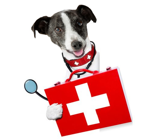 Port Melbourne Veterinary Clinic & Hospital logo