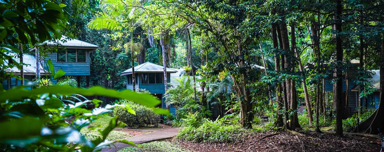 Cassowary Bar & Restaurant logo
