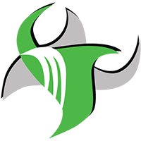 Final Touch Painting and Decorating Services Sydney Pty LTD logo