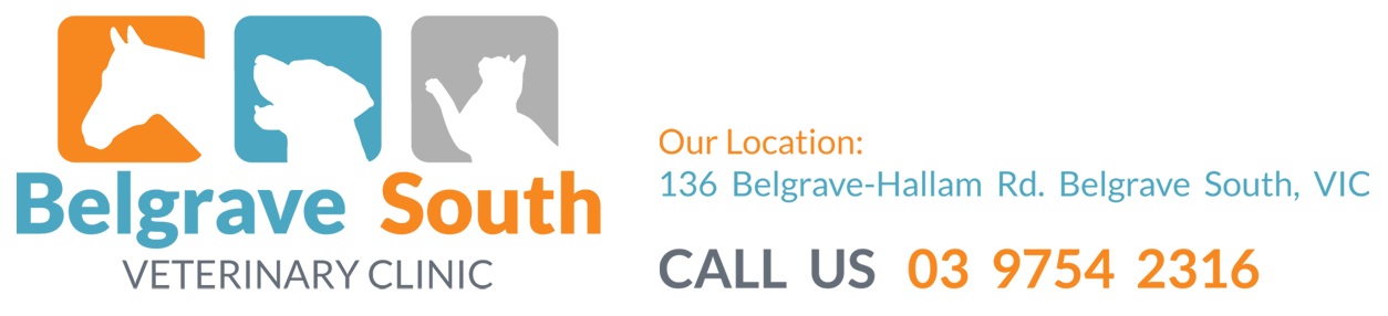 Belgrave South Veterinary Clinic logo