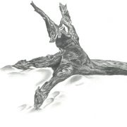 Driftwood Restaurant logo