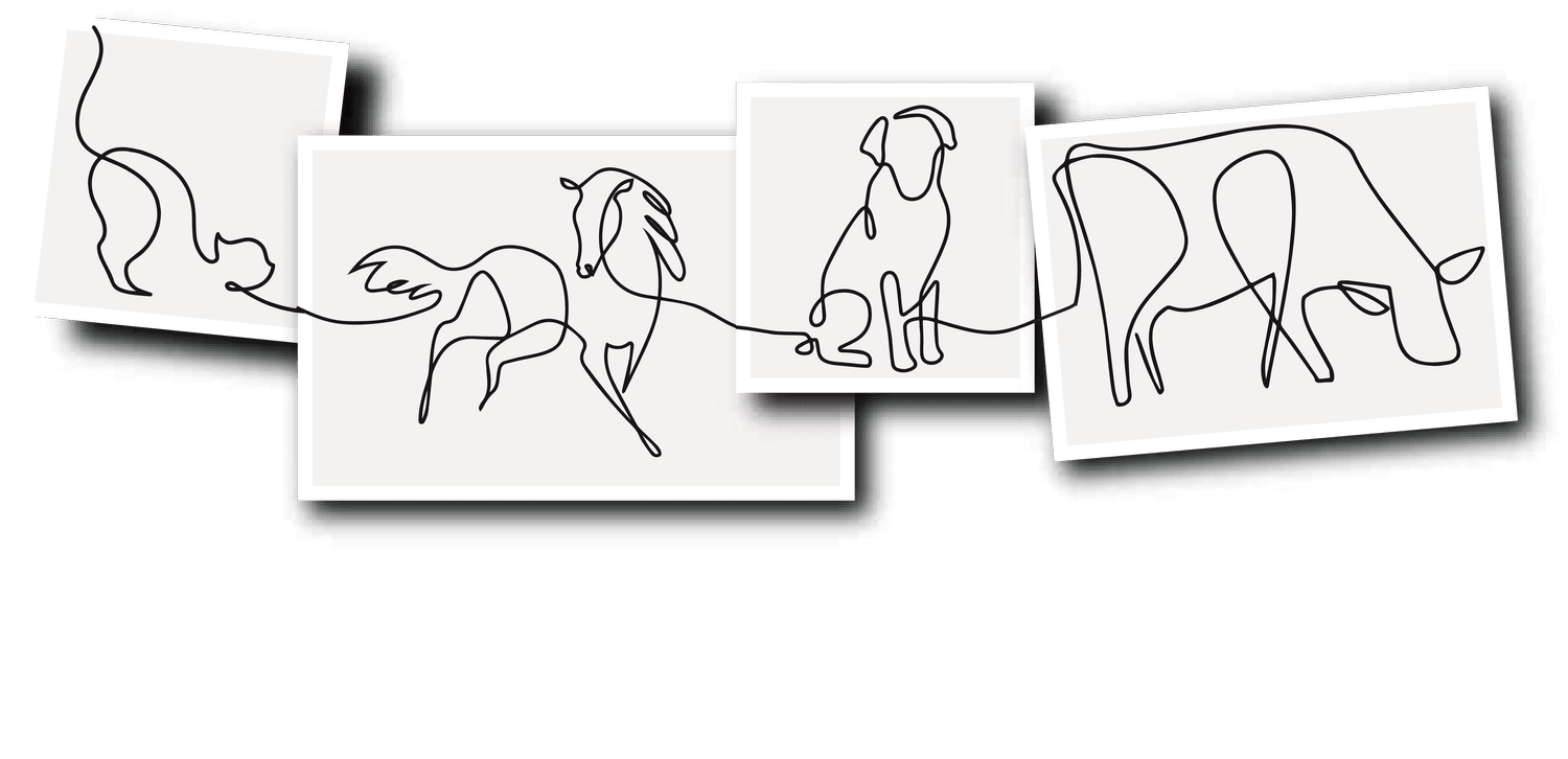 Hartley Valley Vets logo