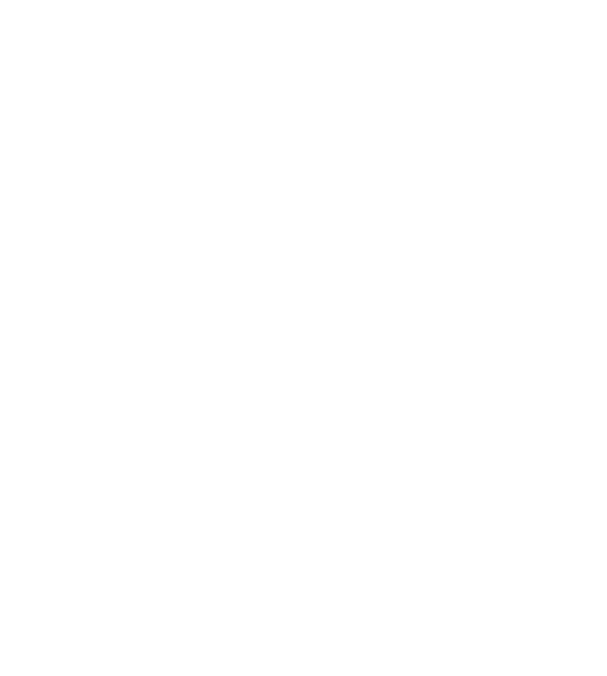 McNamara Law logo