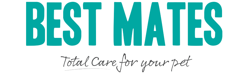 Samford Valley Veterinary Hospital logo