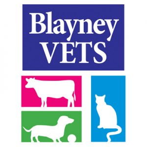 Blayney Veterinary Hospital logo