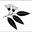 Pauletts logo