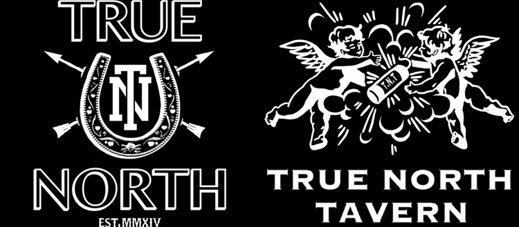 True North logo