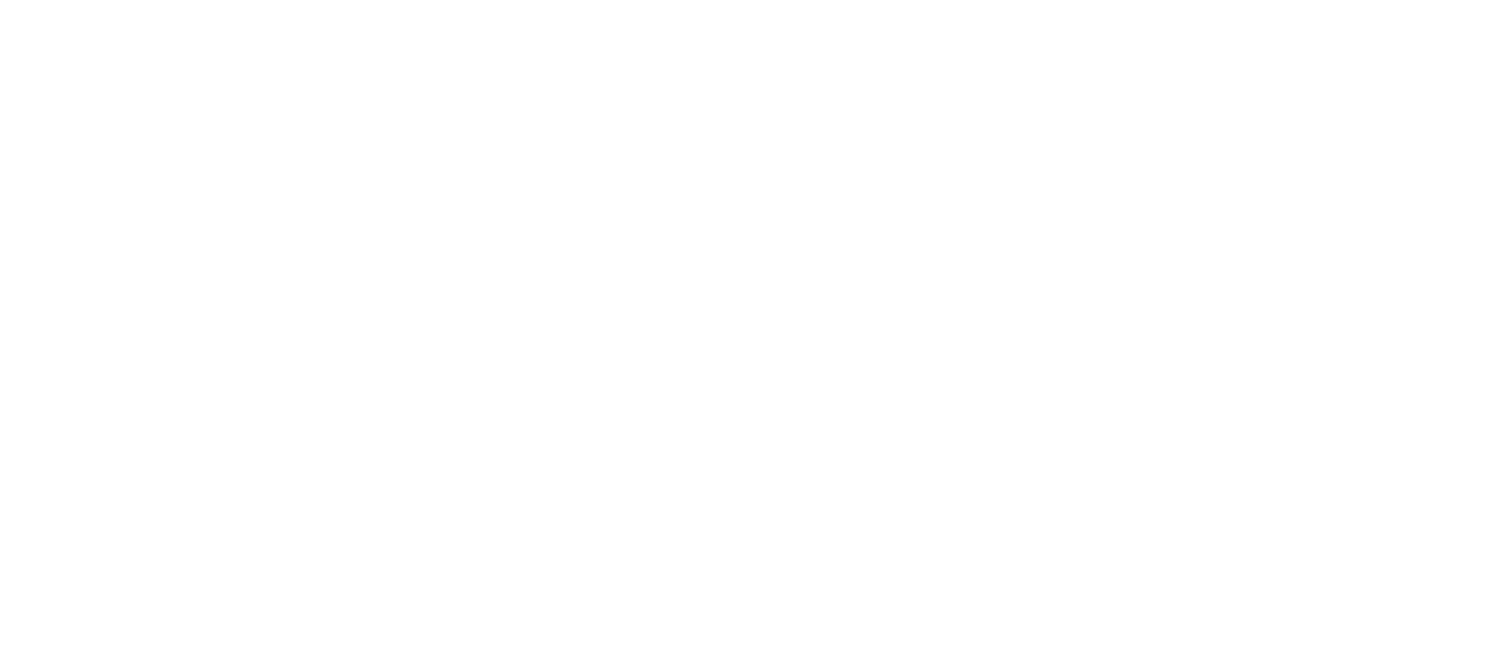 noky logo