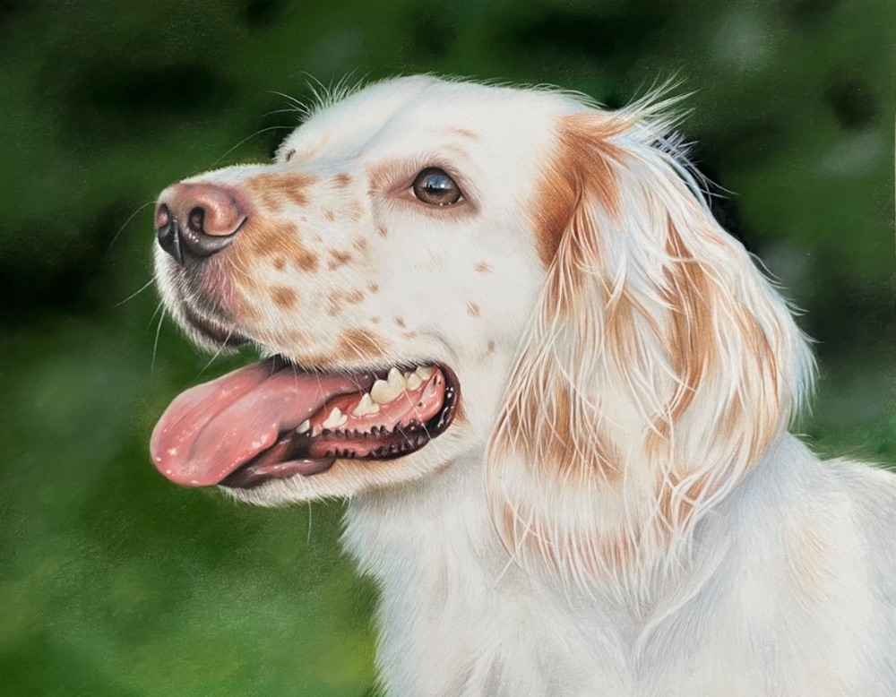That Dog Artist photo 2
