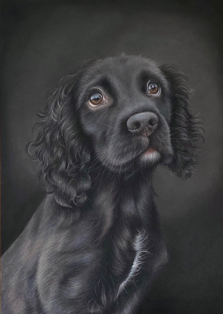 That Dog Artist photo 3