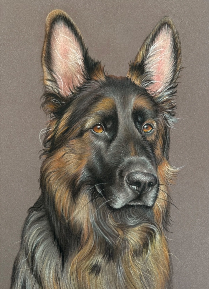 That Dog Artist photo 5