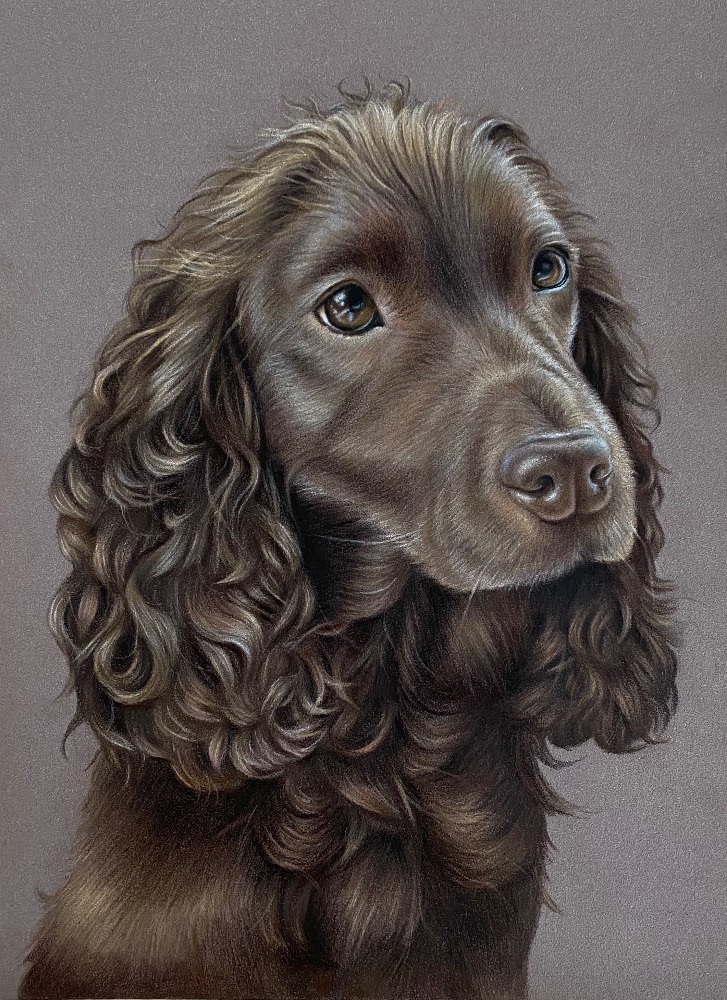 That Dog Artist photo 7