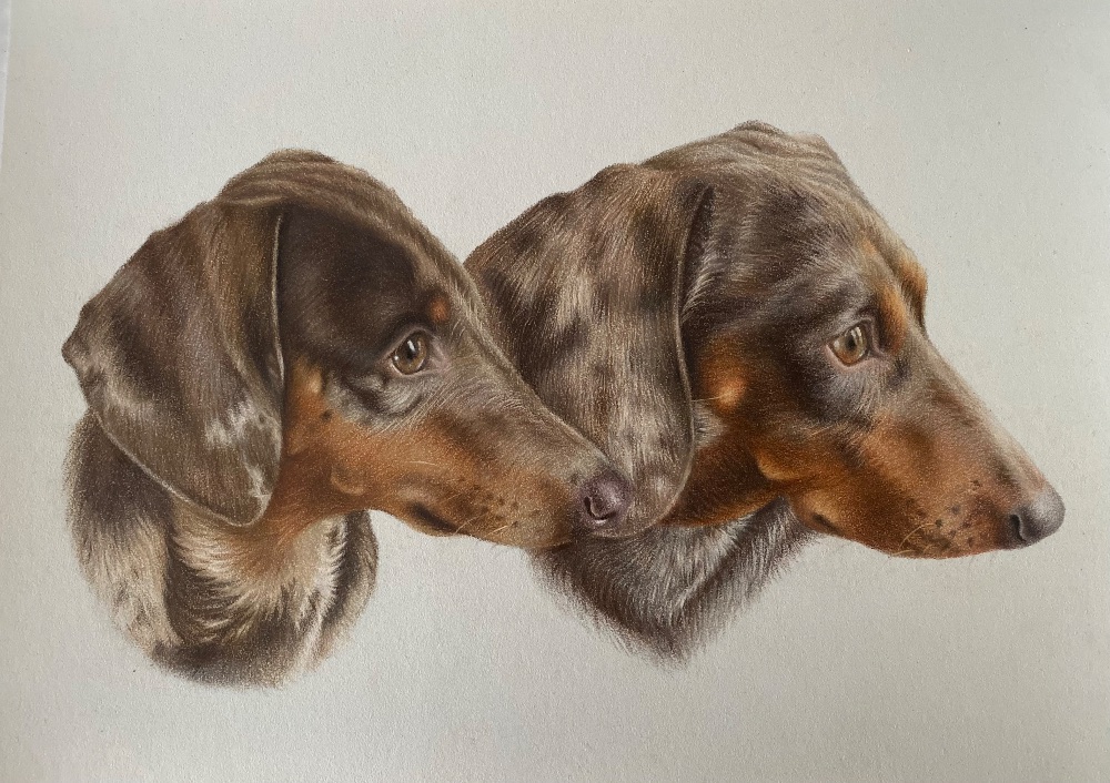 That Dog Artist photo 8