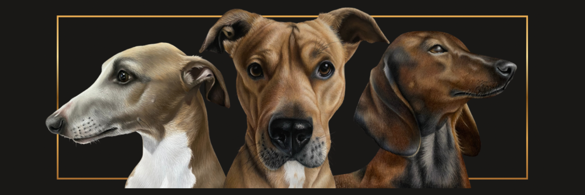 That Dog Artist banner