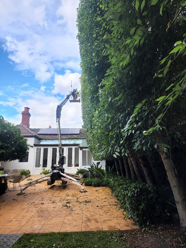 Arbco Tree Services photo 1