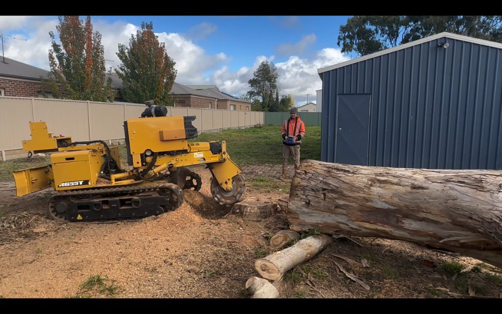 Arbco Tree Services photo 7