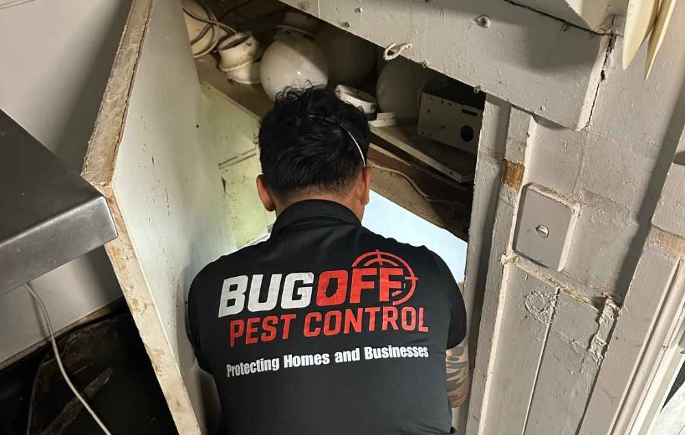 BugOff Pest Control photo 4