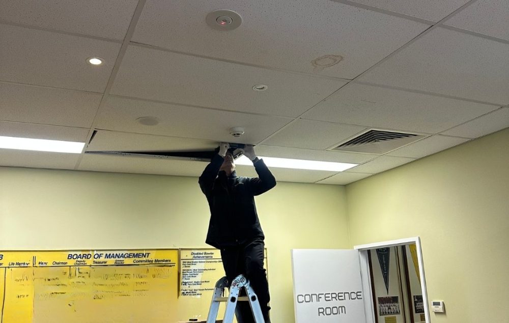BugOff Pest Control photo 5