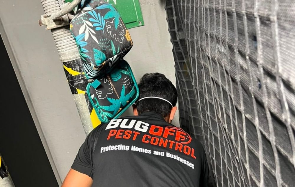 BugOff Pest Control photo 7